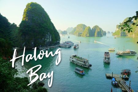 FULL DAY THE WONDER OF HALONG BAY